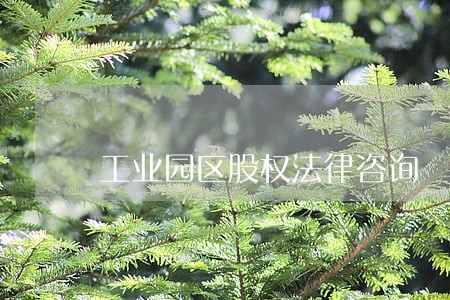 工业园区股权法律咨询 工业园区股权法律咨询