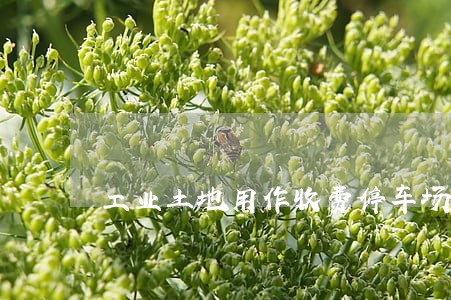 工业土地用作收费停车场违法吗 工业土地用作收费停车场违法吗