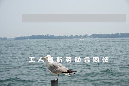 工人最新劳动合同法 工人最新劳动合同法