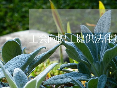 工会向职工提供法律援助 工会向职工提供法律援助