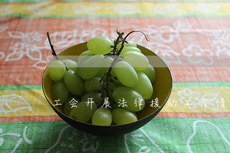 工会开展法律援助工作情况 工会开展法律援助工作情况