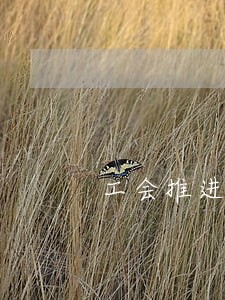 工会推进法律援助工作总结 工会推进法律援助工作总结
