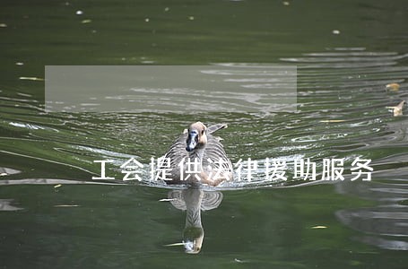 工会提供法律援助服务 工会提供法律援助服务