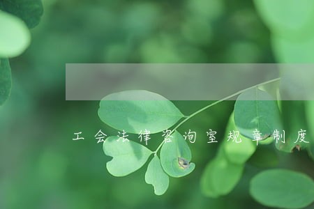 工会法律咨询室规章制度 工会法律咨询室规章制度