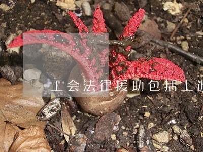 工会法律援助包括上诉吗 工会法律援助包括上诉吗
