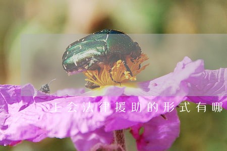 工会法律援助的形式有哪些 工会法律援助的形式有哪些