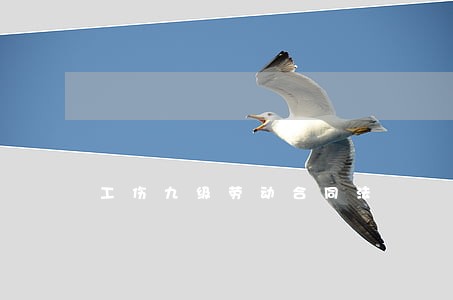 工伤九级劳动合同法 工伤九级劳动合同法