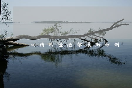 工伤保险法律援助条例 工伤保险法律援助条例