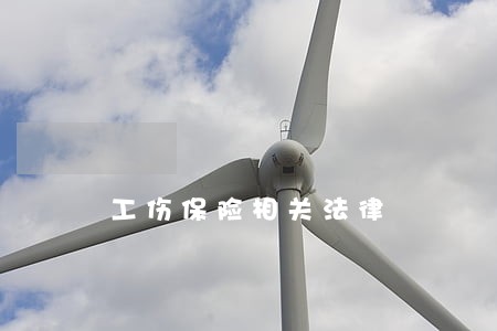 工伤保险相关法律 工伤保险相关法律