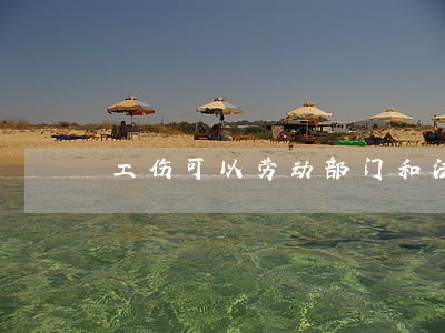 工伤可以劳动部门和法院同时 工伤可以劳动部门和法院同时