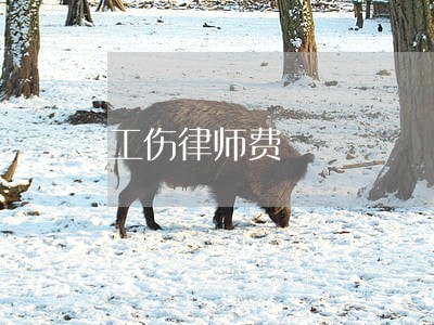 工伤律师费 工伤律师费