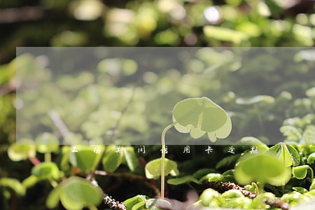工伤期间信用卡逾期 工伤期间信用卡逾期