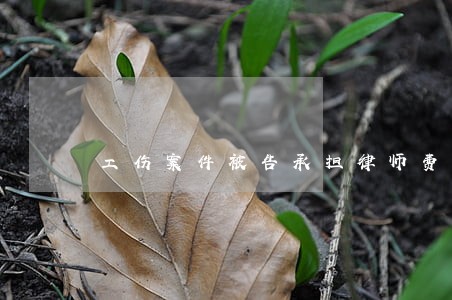 工伤案件被告承担律师费吗