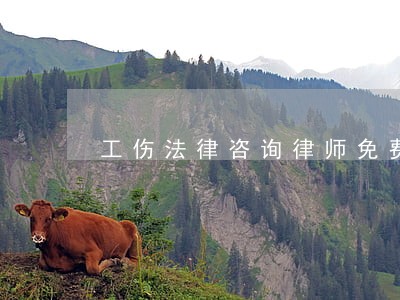 工伤法律咨询律师免费 工伤法律咨询律师免费