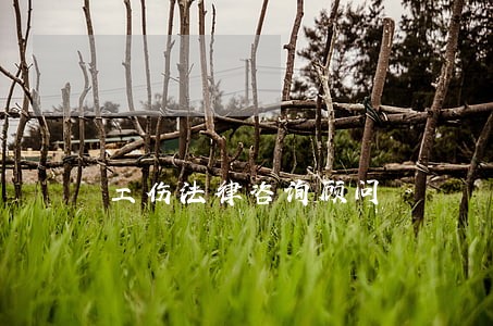 工伤法律咨询顾问 工伤法律咨询顾问