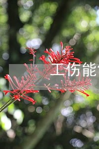 工伤能够申请法律援助吗 工伤能够申请法律援助吗