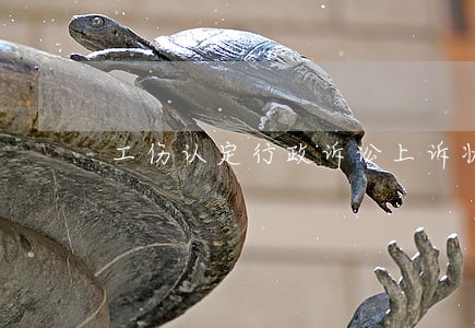 工伤认定行政诉讼上诉状