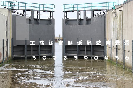 工伤认定起诉到法院需要什么材料/2023022390436 工伤认定起诉到法院需要什么材料/2023022390436