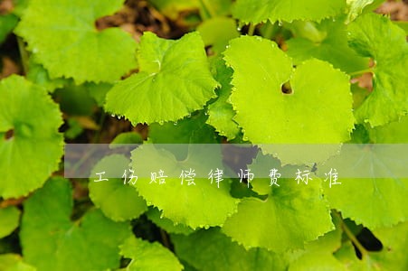 工伤赔偿律师费标准 工伤赔偿律师费标准