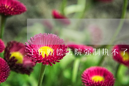 工伤赔偿法院强制执不了怎么办 工伤赔偿法院强制执不了怎么办