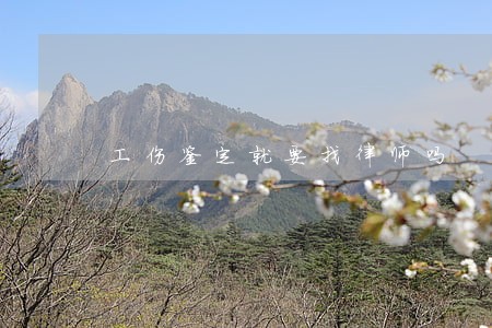 工伤鉴定就要找律师吗