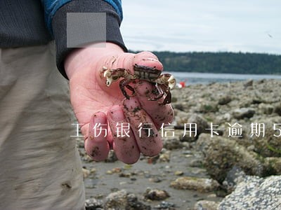 工伤银行信用卡逾期5天 工伤银行信用卡逾期5天