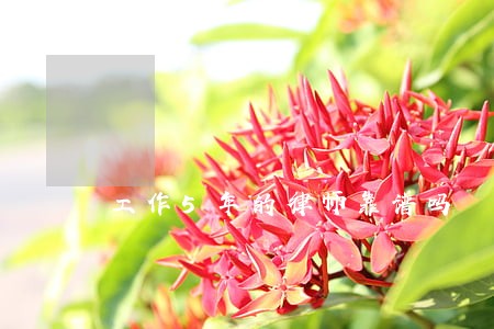 工作5年的律师靠谱吗 工作5年的律师靠谱吗