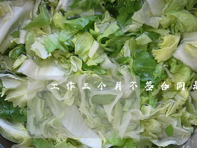 工作三个月不签合同是否违法 工作三个月不签合同是否违法