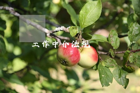 工作中介法规