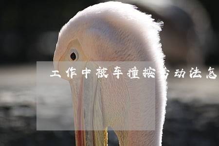 工作中被车撞按劳动法怎么处理 工作中被车撞按劳动法怎么处理