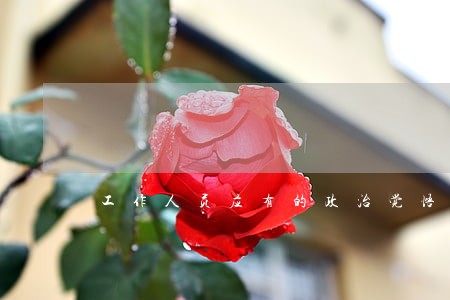 工作人员应有的政治觉悟 工作人员应有的政治觉悟