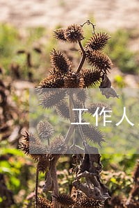 工作人员银行法律 工作人员银行法律