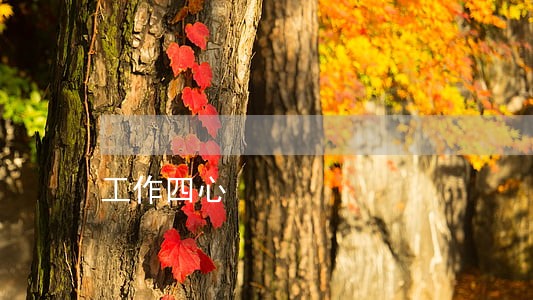 工作四心 工作四心