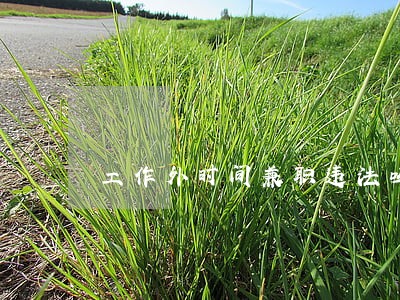 工作外时间兼职违法吗