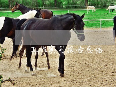 工作实习报告总结 工作实习报告总结