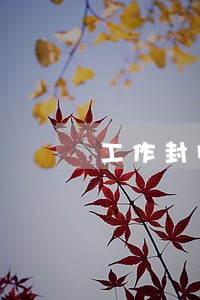 工作封闭信用卡逾期 工作封闭信用卡逾期