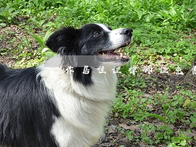 工作居住证律师证免费 工作居住证律师证免费