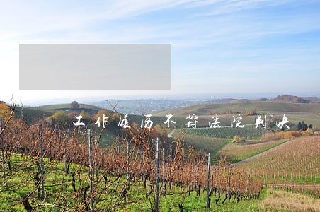 工作履历不符法院判决 工作履历不符法院判决