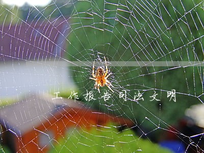 工作报告司法文明 工作报告司法文明