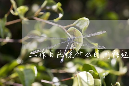 工作日法院什么时间能起诉么 工作日法院什么时间能起诉么