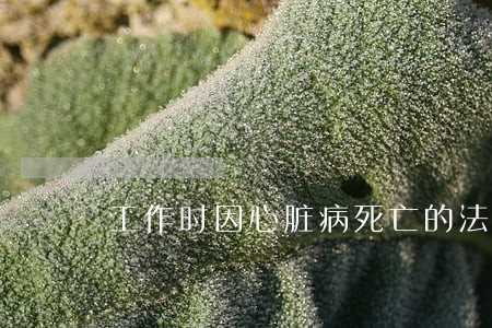 工作时因心脏病死亡的法院判决 工作时因心脏病死亡的法院判决