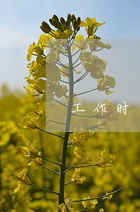 工作时间与劳动法是否相符 工作时间与劳动法是否相符