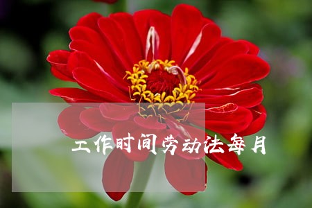 工作时间劳动法每月 工作时间劳动法每月