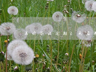 工作签证逾期2天后果