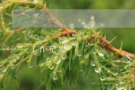 工作纪实 工作纪实