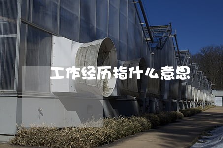 工作经历指什么意思 工作经历指什么意思