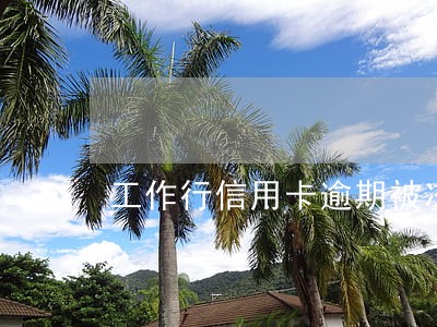 工作行信用卡逾期被冻结恢复条件