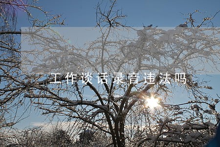工作谈话录音违法吗