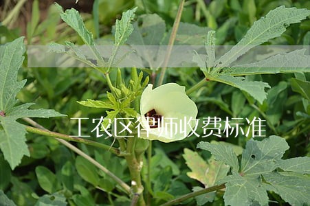 工农区律师收费标准 工农区律师收费标准