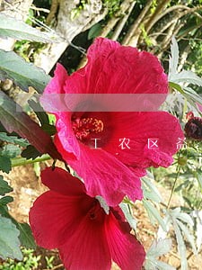 工农区益民法律服务所怎么样